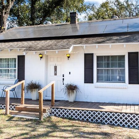Cozy Home Near Busch Gardens Adventure Island And Usf Tampa Eksteriør billede